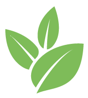 Buzz Blackberry Bush Removal