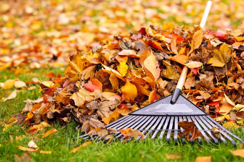 Autumn Lawn Care Equipment