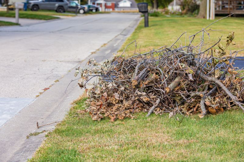 Leaf Collection in Bins