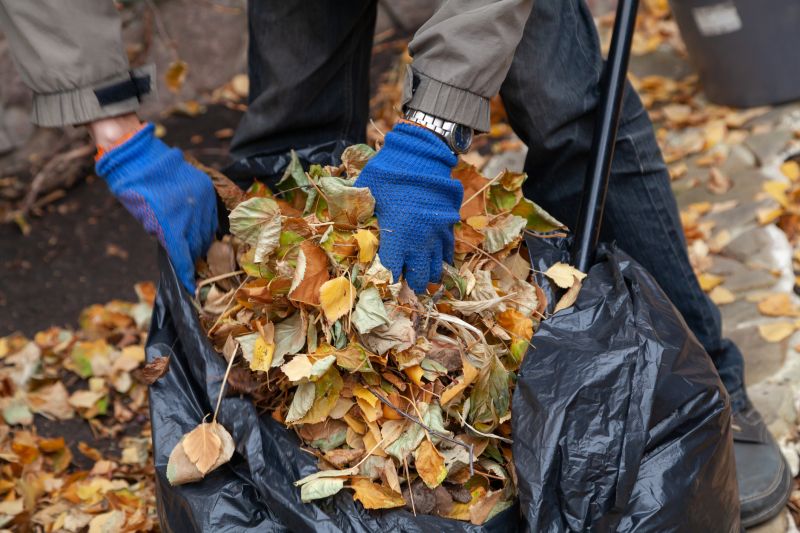 Bagging Leaves