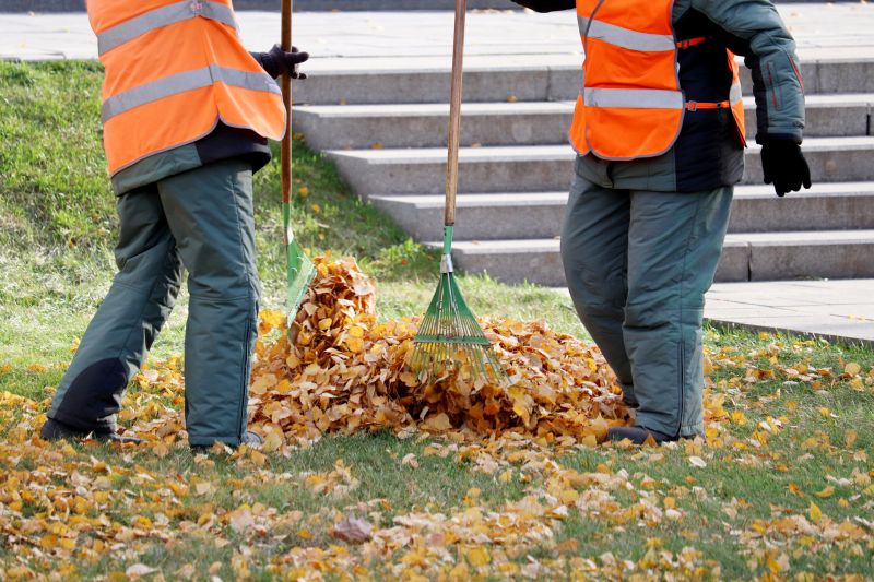 Piling Leaves
