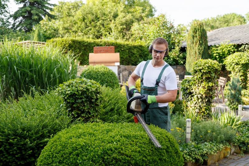 Decorative Shrubs in a Residential Yard