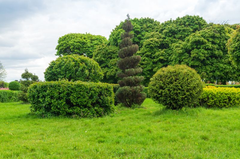 Shaped and Maintained Shrubs