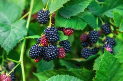 Get Property Value Enhancement!